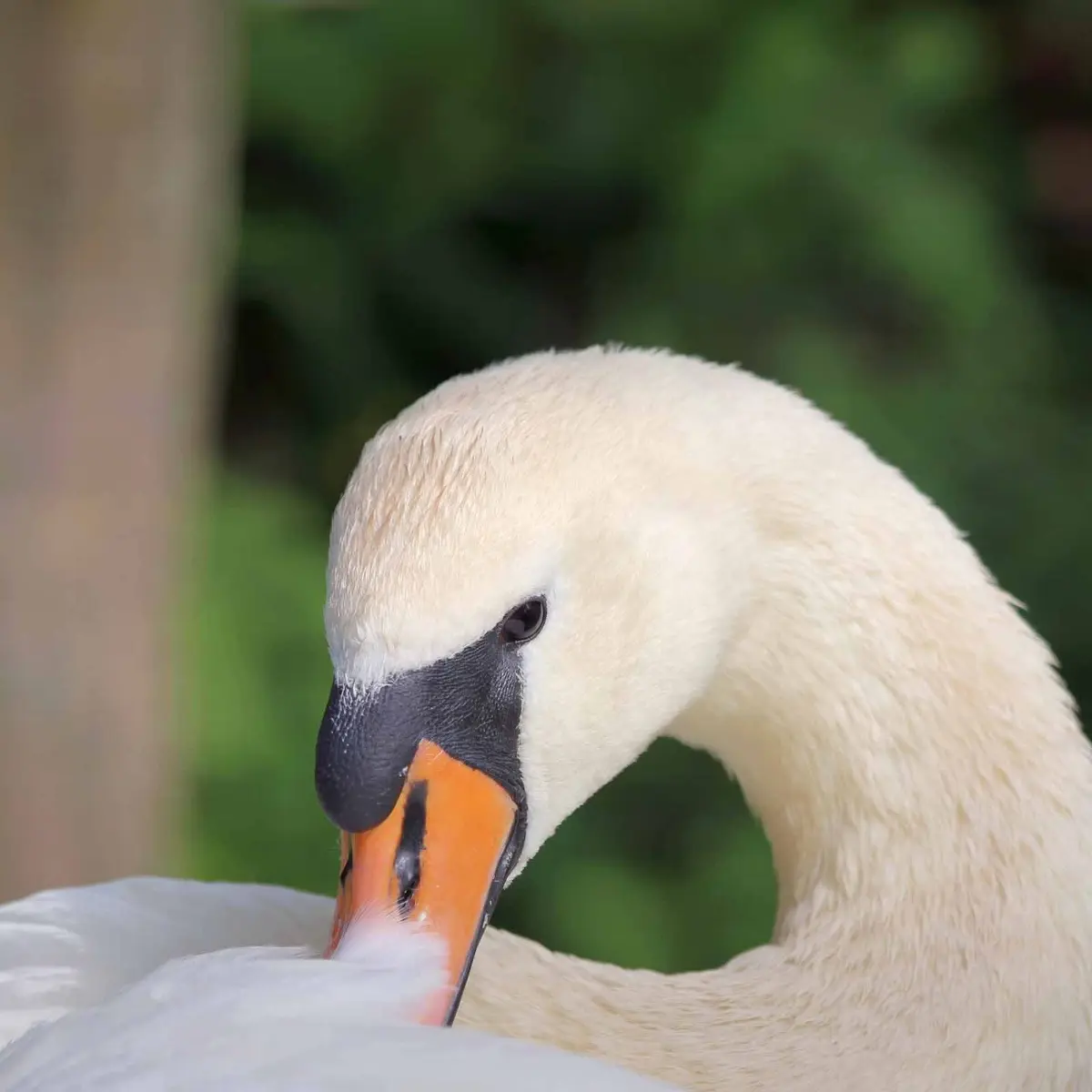 798282aabb의 Zl젤