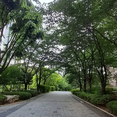 Profile image of 공룡