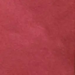 Profile image of セラフ