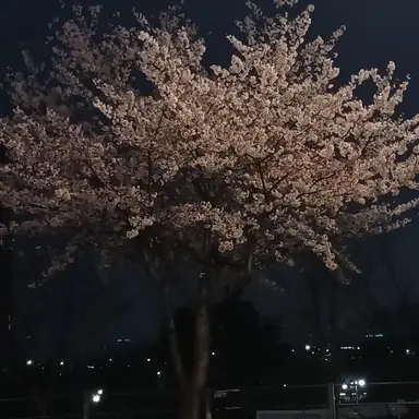 Profile image of 감제이