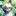 愛猫