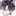 잭