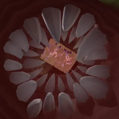 Profile image of 여우