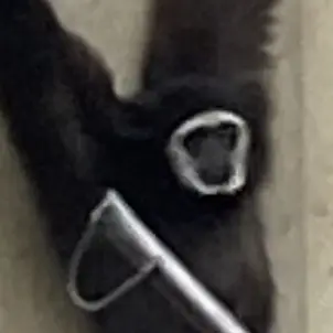 Profile image of Kageko