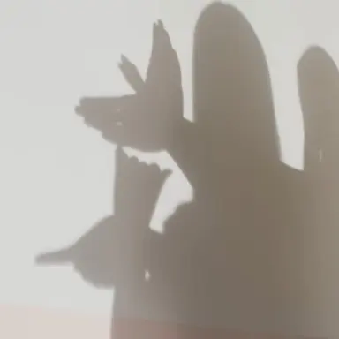 Profile image of 이오빠