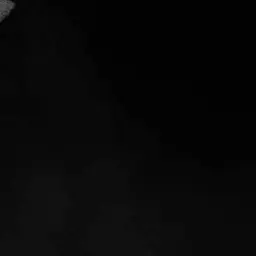 Profile image of Anything