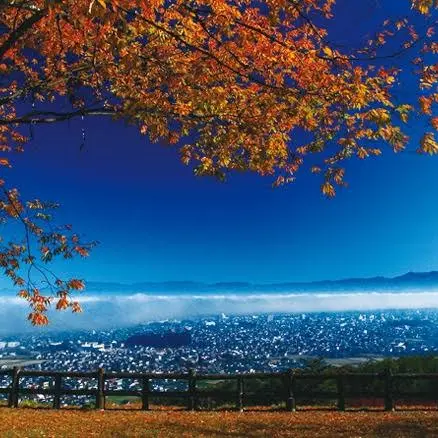 MuskyPoem7231의 駿介
