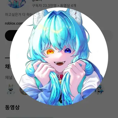 Profile image of 료미