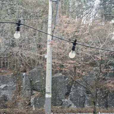 Profile image of 준빵