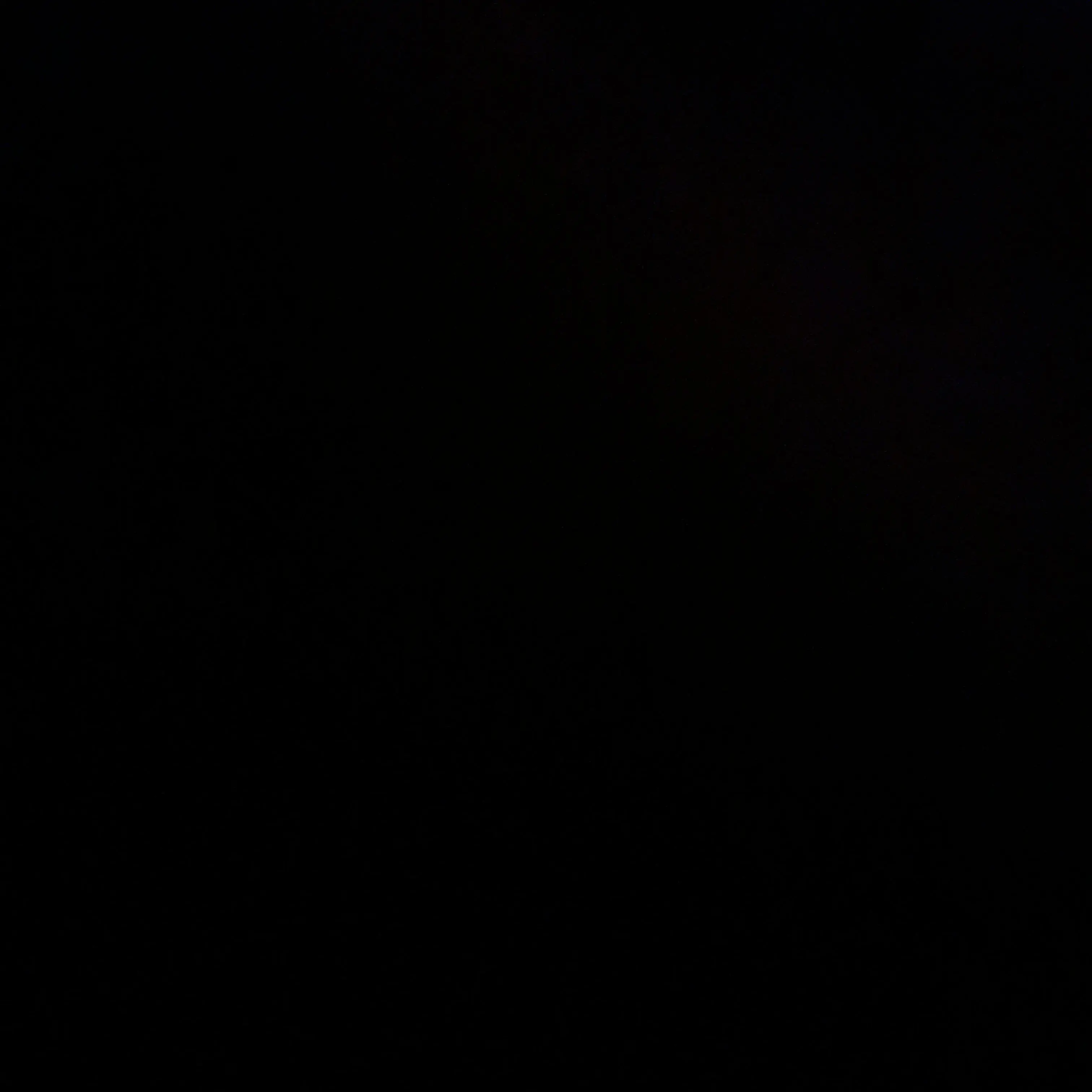 PastFox0199의 눈물의 여왕