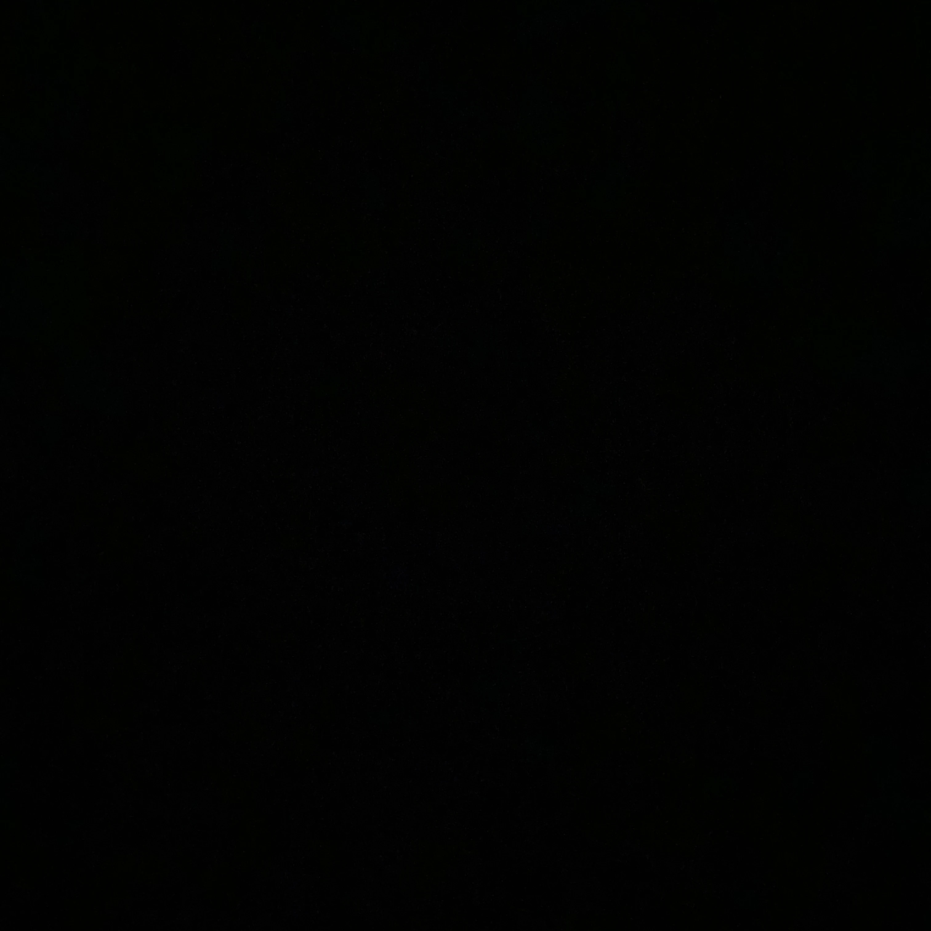 인체
