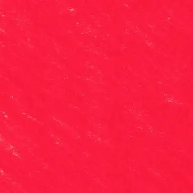 Profile image of 中国 うさぎ