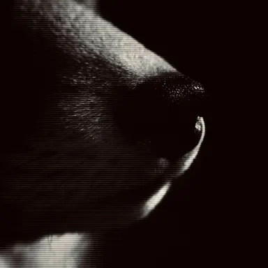 Profile image of 연