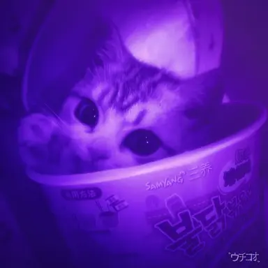 Profile image of 멜로우