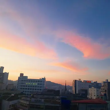 Profile image of 도캐