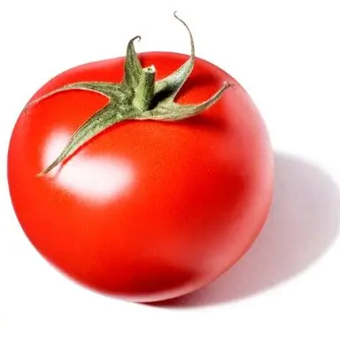 Profile image of スポーン教信徒1