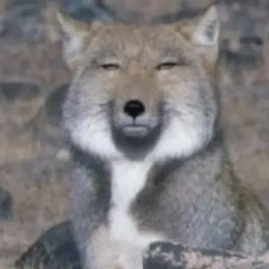 Profile image of 여우