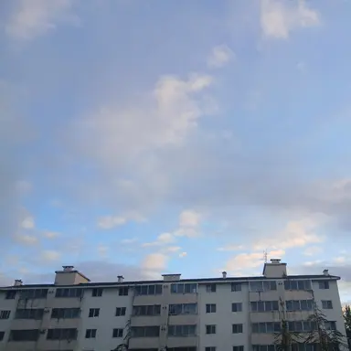 Profile image of 여우