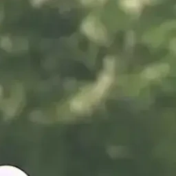 이지훈