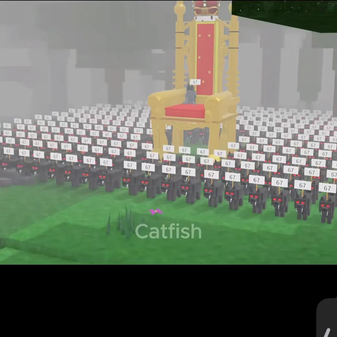 RashLynx0412의 쌩얼