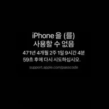 Profile image of 연시은