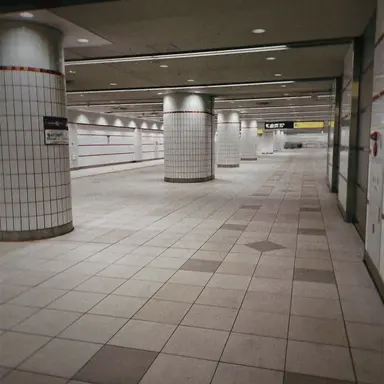 Profile image of Backrooms