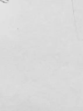 FrankAnt1886의 自分用 使用禁止