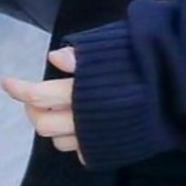 LightCloak0264의 短期スタッフ。