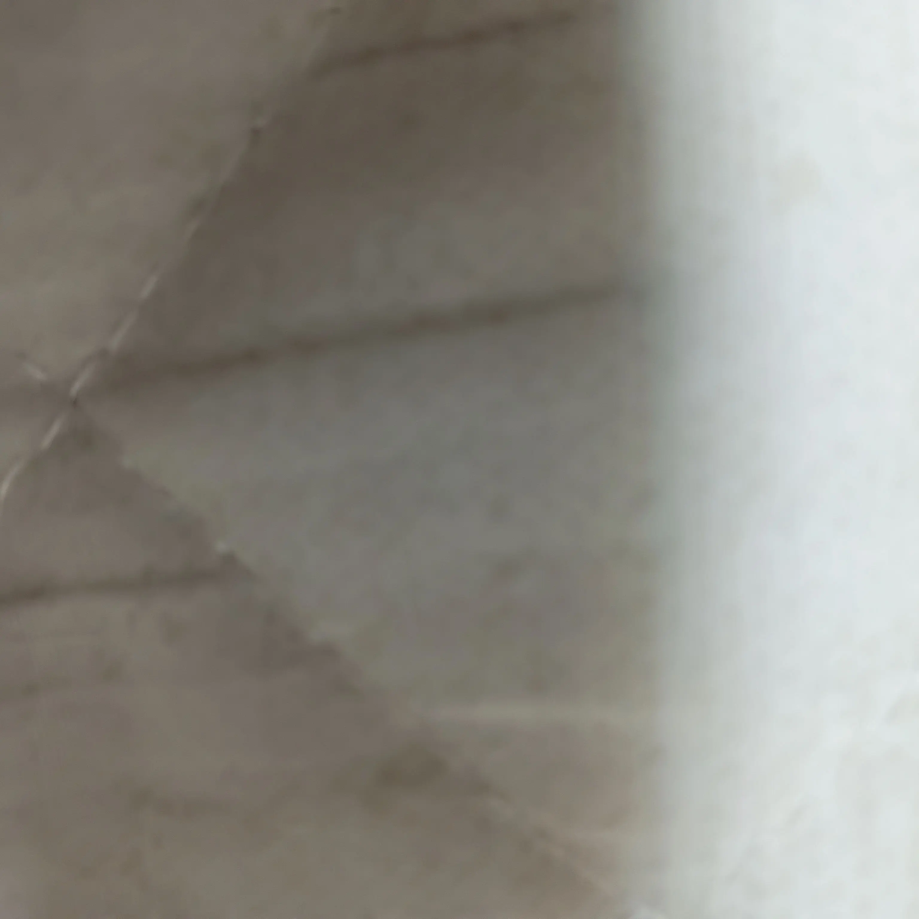 FabricTower0315의 SnowManのライブに行ったら…？