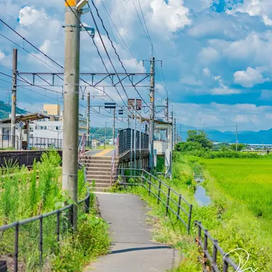 Profile image of 田舎