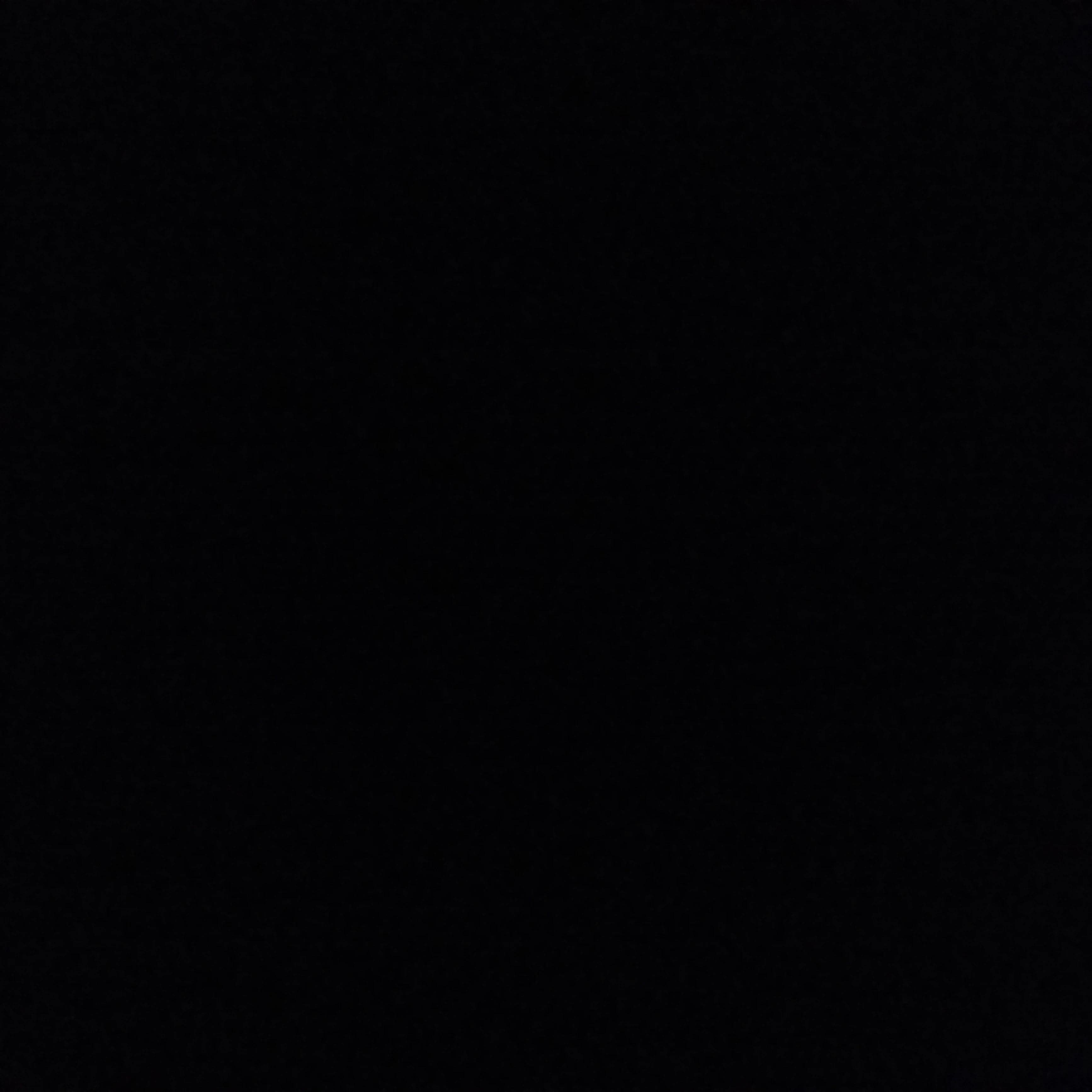 비스트 고등학교