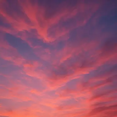 Profile image of だいち