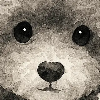 Nyang_nyang_Kkomi의 일찐평학