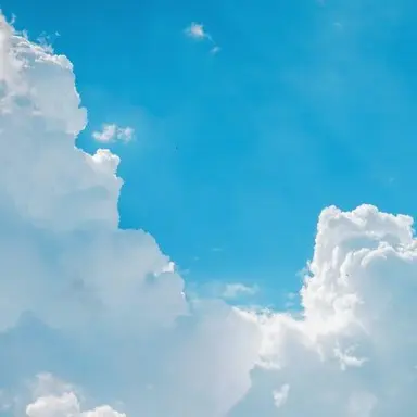 Profile image of 잠뜰