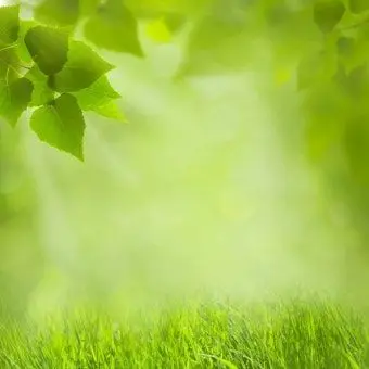 Profile image of 공룡