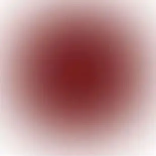 hisamekiwi515의 私用