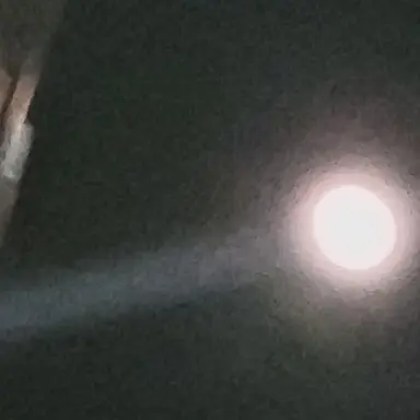 Profile image of 늑대