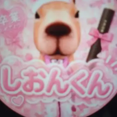 Profile image of しおん