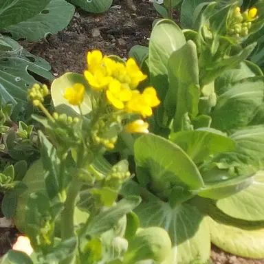 Profile image of 뜰팁 회식