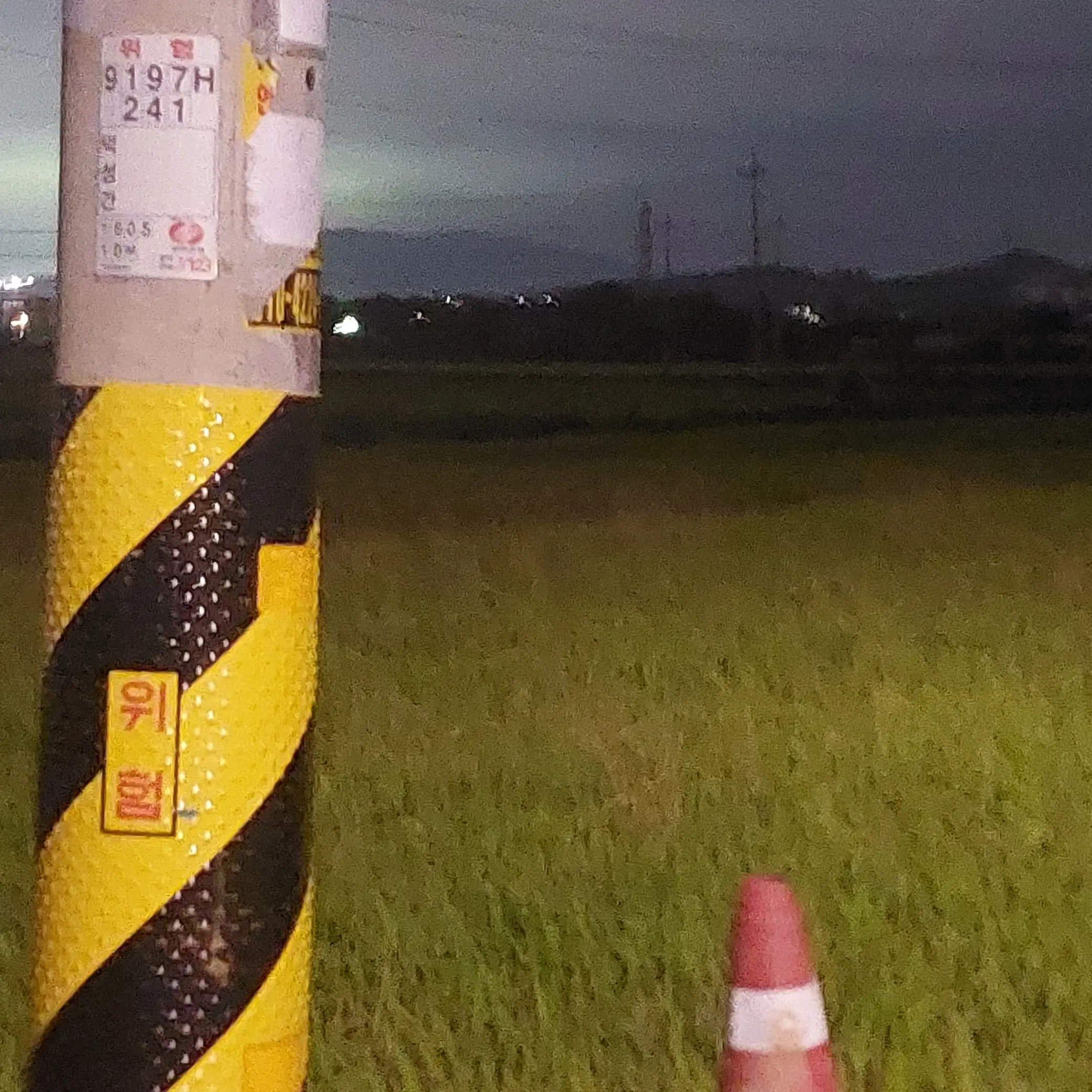 Shika_chan17의 뜰팁 회식