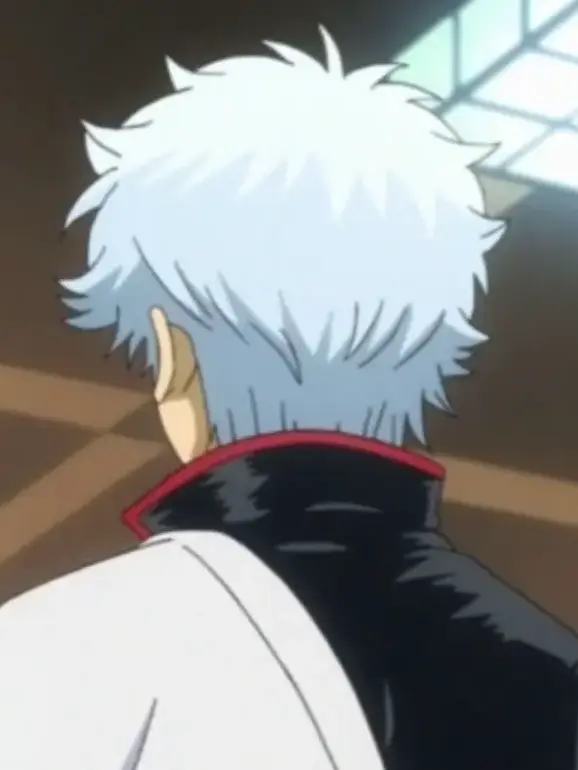 MeanSack7046의 坂田銀時に姉がいるってェェェ！？！？