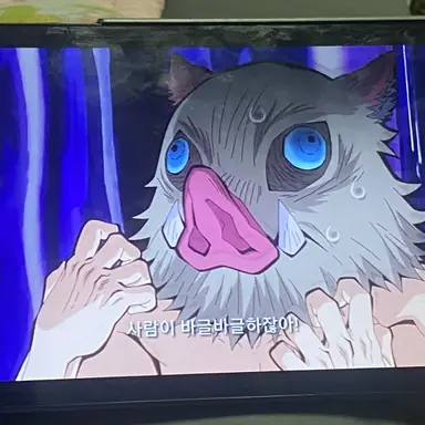 Profile image of 히바라시 이노스케