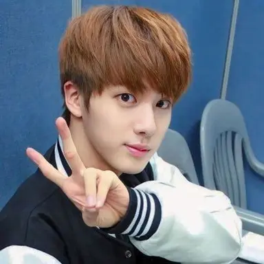 Profile image of Kim seokjin