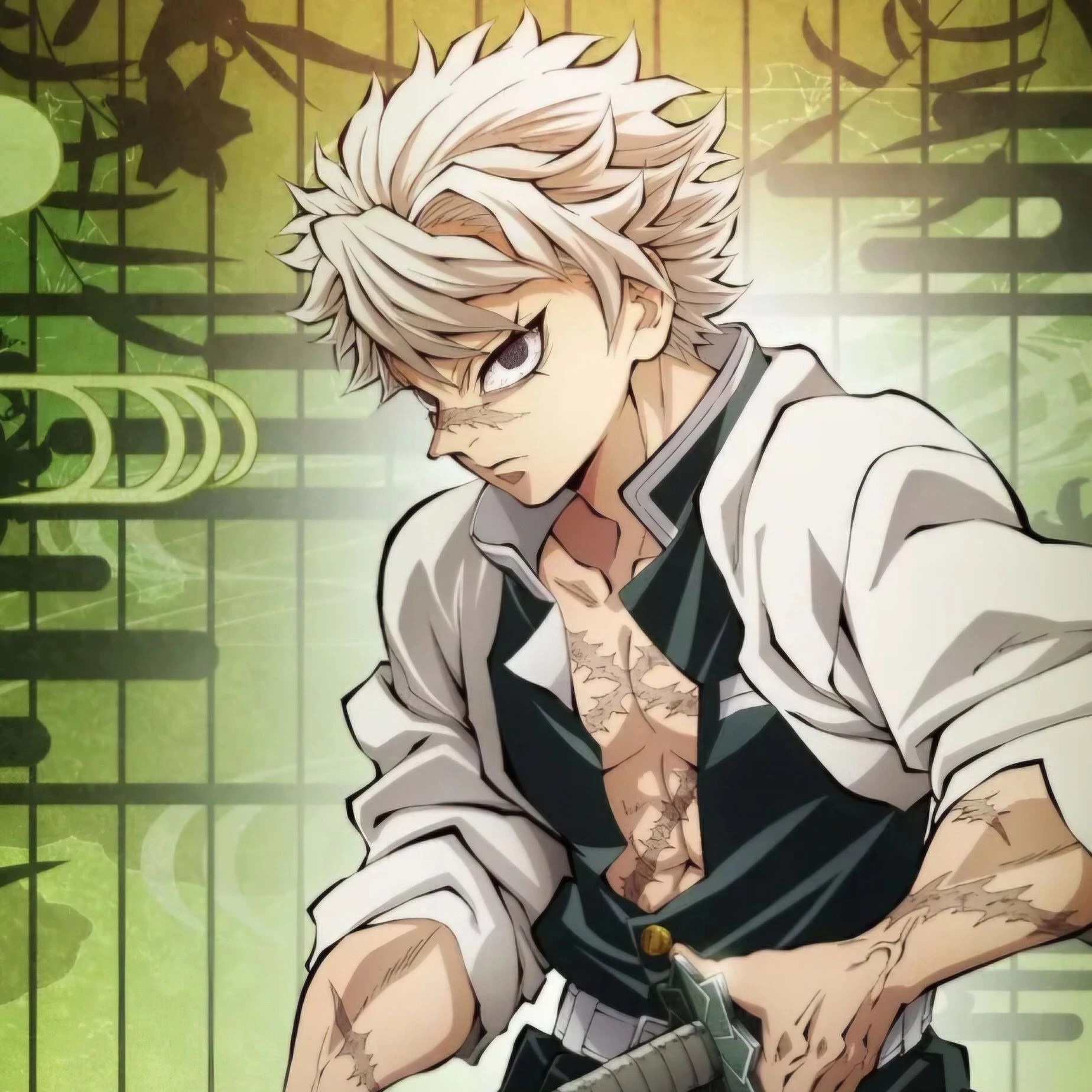 시나즈가와 사네미