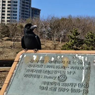 Profile image of 미대감