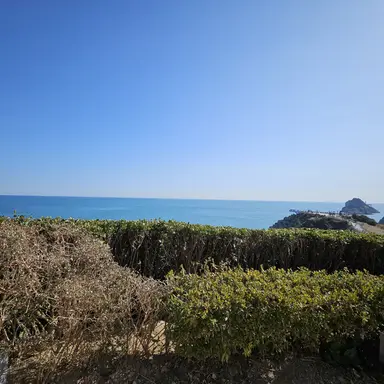 Profile image of 권용진