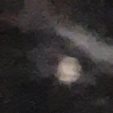 Profile image of 미스터리