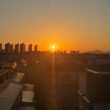 Profile image of 조이