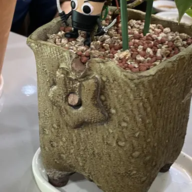 Profile image of 권지용