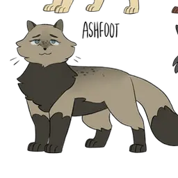 Profile image of Graypaw
